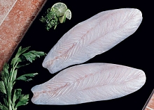 Sea fish fillet